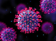 भारतबाट नेपाल फर्कनेमा कोरोना संक्रमण बढ्दो, सामान्य लक्षण हुनेलाई आइसोलेसनमा बस्न आग्रह