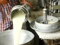 डिडिसीले बढायो दूधको मूल्य, उपभोक्ता मूल्य अब ९० देखि १३० रुपैयाँसम्म