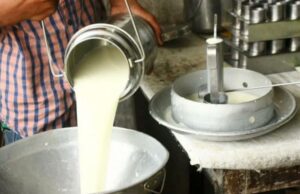 डिडिसीले बढायो दूधको मूल्य, उपभोक्ता मूल्य अब ९० देखि १३० रुपैयाँसम्म