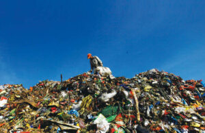 १५ दिनपछि महानगरले उठायो सिंहदरबारको फोहोर