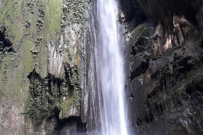 pani