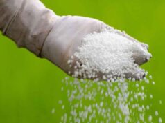 सरकारको मल वितरण नीतिले सुदूरपश्चिमका किसान मर्कामा