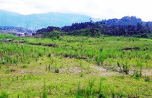 सरकारले आगामी आर्थिक वर्षदेखि बाँझो जमिन उपयोगमा ल्याउने