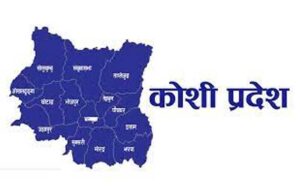 कोशी प्रदेश नीति तथा कार्यक्रम :  स्वरोजगार बन्न सहुलियतपूर्ण ऋण, नागरिकमैत्री सेवामा जोड