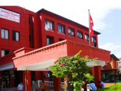 गर्मी र बर्खायाम लागेसँगै तराईमा सर्पदंशबाट बच्न स्वास्थ्य मन्त्रालय सुझाव