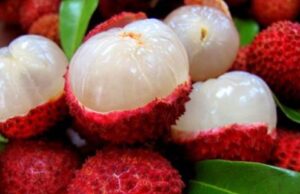 केमिकल हालेकाे लिच्ची थाहा पाउने सजिलो तरिका