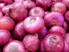 प्याजको आयात शून्य, हप्तामै दोब्बरले वृद्धि