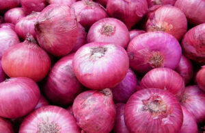 प्याजको आयात शून्य, हप्तामै दोब्बरले वृद्धि