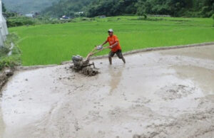 लम्पी स्किनले रोपाइँ प्रभावित भएपछि किसानलाई हाते ट्याक्टर