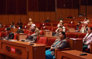 राष्ट्रियसभामा विनियोजन विधेयकअन्तर्गत मन्त्रालयगत शीर्षकमाथि छलफल