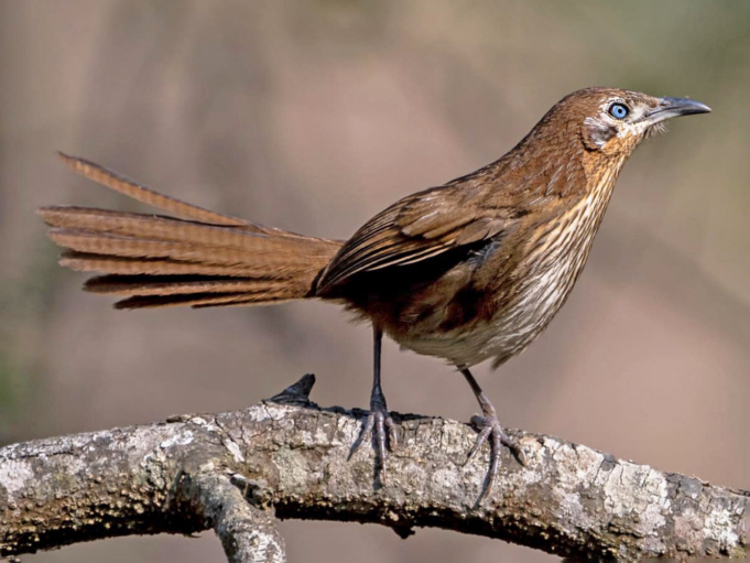 kade-bhyakur_AdgydA9X5e