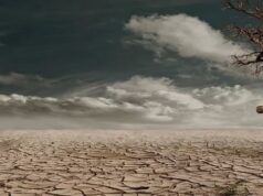 अमेरिकासहित पाँच देश प्राकृतिक प्रकोपको चपेटामा