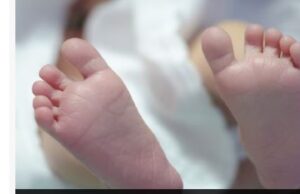 बच्चाको हेरचाह गर्न सक्दिन भन्दै जब महिलाले नवजात शिशु छाडेर गइन…