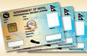 आजदेखि लाइसेन्सका लागि नयाँ आवेदन, अब राजस्व अनलाइनबाटै