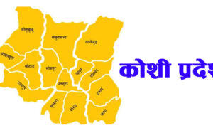 कोशीका पूर्वप्रदेशसभा सदस्य अंसारीको निधन