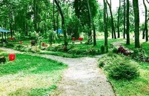 बागमती नदीको सुन्दरता बढाउँदै हरियाली पार्क