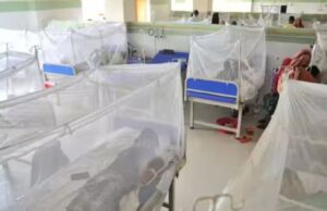 बंगलादेशमा डेंगुका कारण झन्डै तीन सयको मृत्यु, बिरामीले अस्पताल भरिए