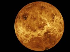 नासाको बैज्ञानिकको दाबी, ‘शुक्र ग्रहमा प्राणीहरु छन्’