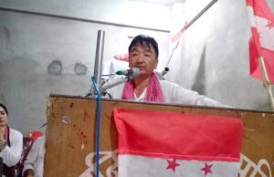 पुरानो इतिहासले मात्र काङ्ग्रेस अब अगाडी बढ्न सक्दैन : आङ्गेलु शेर्पा