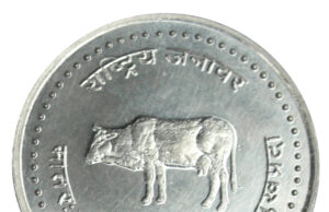 गाईको चित्रअंकित ‘मेडालियन सिक्का’ सार्वजनिक
