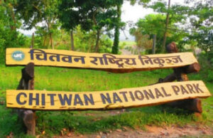 वन्यजन्तुको असफल स्थानान्तरण