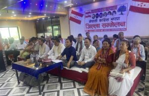 देश र कांग्रेस चुनौतिका अगाडि उभिएको छ, त्यसलाई चिर्नुपर्छ : नैनसिंह महर