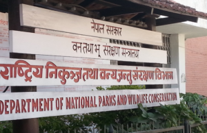 निकुञ्जको सुरक्षा व्यवस्था थप चुस्त बनाउन निर्देशन
