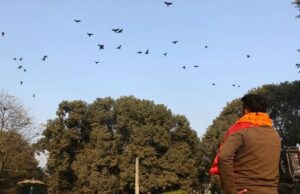काग तिहारमा रत्नपार्कमा काग सम्मेलन
