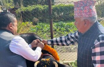 राष्ट्रपति पौडेलले गरे गाई पूजा