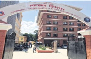 ९२ करोड रुपैयाँ बराबरको पिना निर्यात