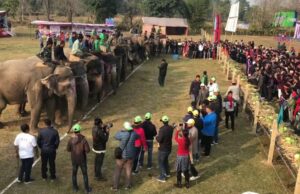 पुस १० गतेदेखि चितवन पर्यटन तथा हात्ती महोत्सव हुने