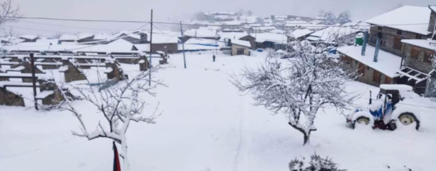 Screenshot 2023-12-08 111419