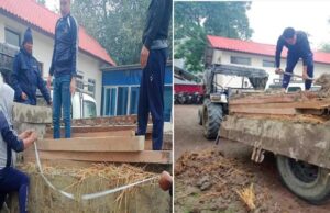 चिरान काठसहित दुई जना पक्राउ, प्रहरीलाई घुस दिने प्रयास