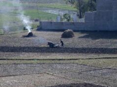 सुरु भयो हिउँदे खेती सरकारसँग कति छ रासायनिक मल मौज्दात