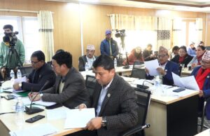 केही नेपाल ऐनलाई संशोधन गर्न बनेको विधेयकमाथिको छलफल सुरु