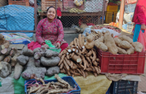 माघे संक्रान्तिका लागि कालीमाटीमा तरुल किन्नेको भीड