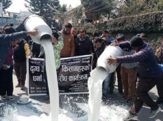 जिल्ला प्रशासन कार्यालय ललितपुर अगाडि किसानले पोखे दुध