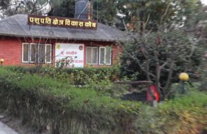 पशुपति क्षेत्रको जग्गा हडपेर बनाइएका संरचनाको खोजी