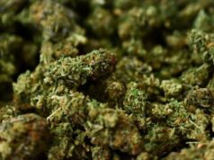 Around 163 kg of ganja was recovered from Sunsari