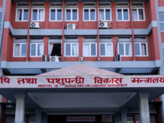 कृषि बीमाको ९७ करोड तत्काल भुक्तानी गरिने