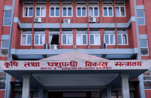 कृषि बीमाको ९७ करोड तत्काल भुक्तानी गरिने