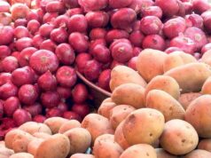 आलु, प्याज र स्याउको मूल्य घट्ने