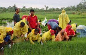 चितवनमा विप्लवको नेतृत्वमा रोपाइँ महोत्सव