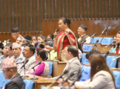 सिंहदरबार र संसदमा सबैलाई समान व्यवहार हुनुपर्छ : सांसद न्यौपाने