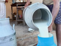 दुध किसानको बक्यौता भुक्तानी गर्न सरकारलाई एसोसिएसनको दबाब