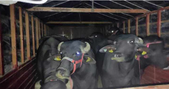 Screenshot 2024-06-24 131026