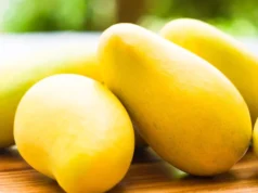 ‘म्याङ्गो फेस्ट’ सुरु, यी स्थानबाट खरिद गर्न सकिन्छ विषादीरहित आँप