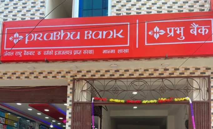 manma-branch_zVxotIC43y