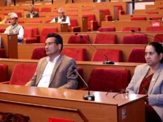 नवीकरणीय ऊर्जा तथा दक्षता सम्बन्धी विधेयक राष्ट्रिय सभामा पेस