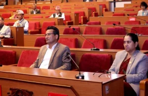 नवीकरणीय ऊर्जा तथा दक्षता सम्बन्धी विधेयक राष्ट्रिय सभामा पेस